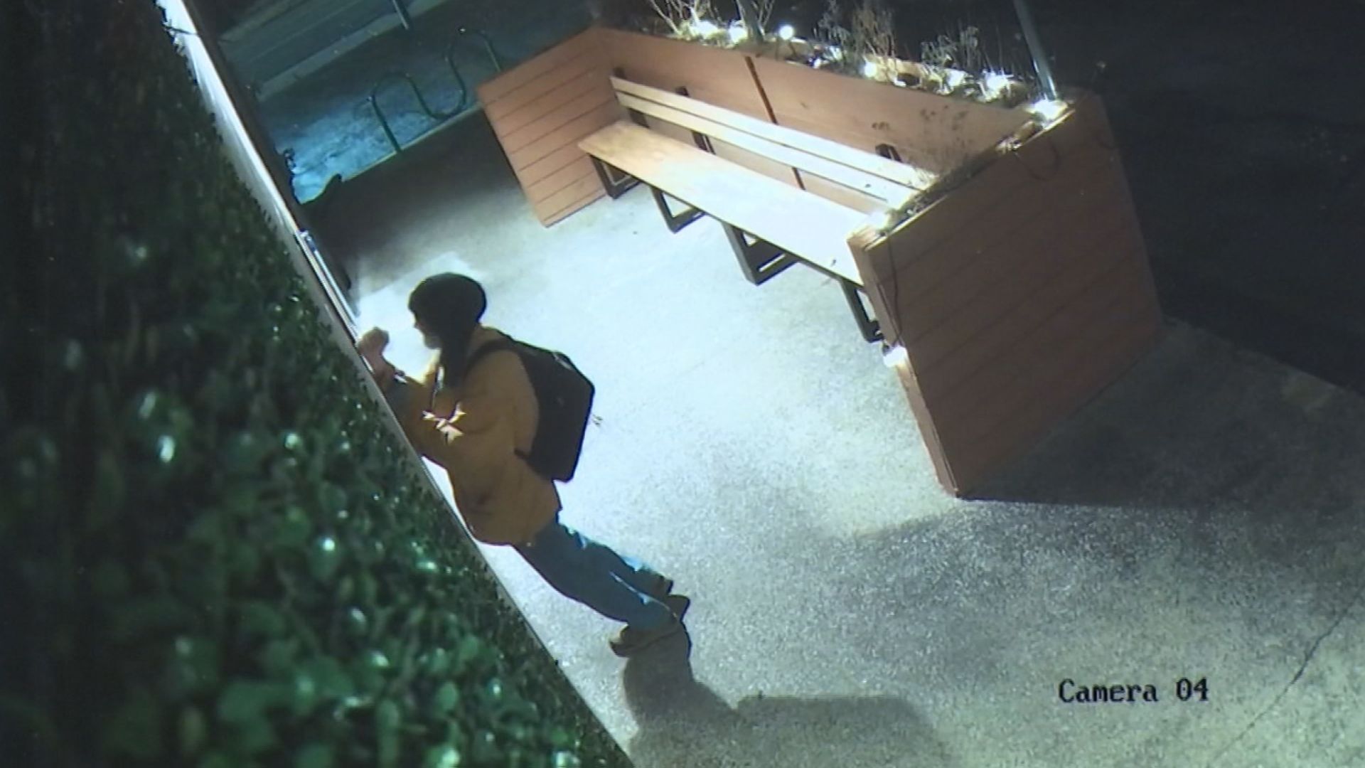 branch out surveillance 1.jpg